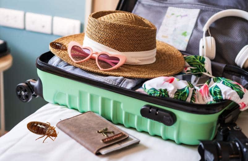 Évitez le cauchemar des vacances : Comment garder les punaises de lit loin de vos bagages !