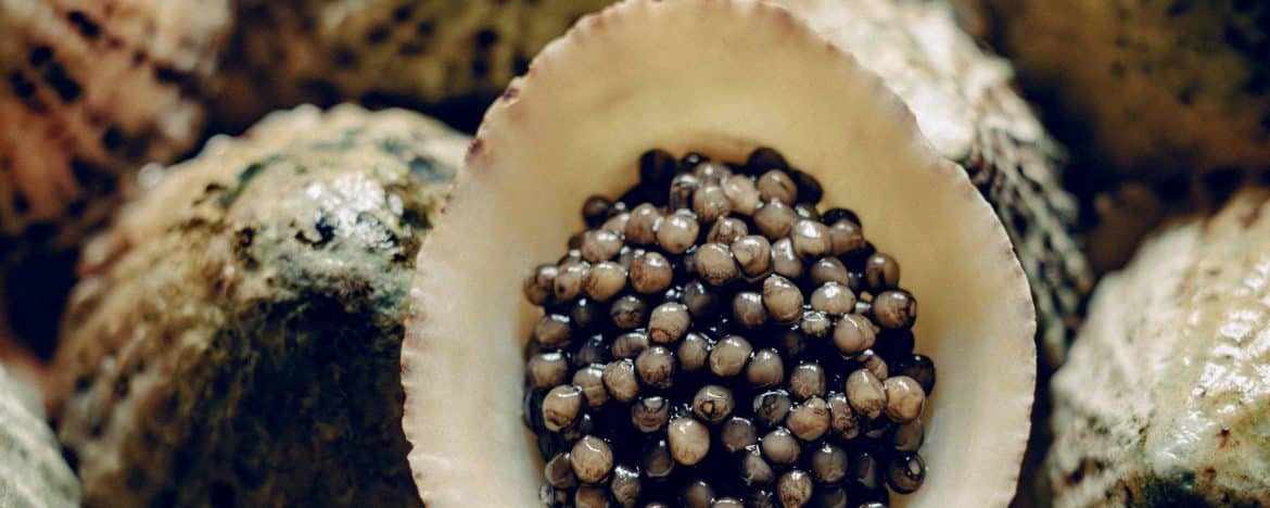
                De Reykjavik à New York
                Tandem culinaire en Atlantique nord
            
