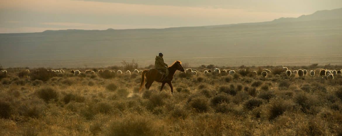 
                De la steppe aux monts Célestes
                Le Kazakhstan, une terre plurielle
            
