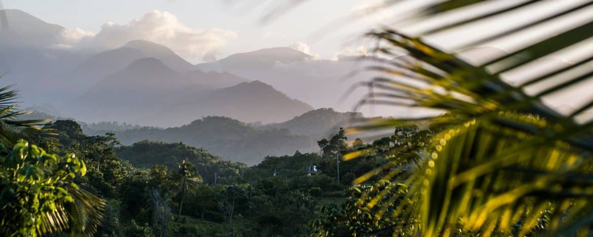 
                Good vibes et nature tropicale
                De Kingston aux Blue Mountains, aux sources de la Jamaïque
            
