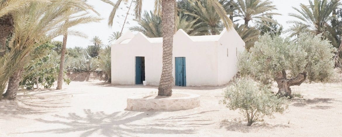 
                Le sud de la Tunisie
                De la douceur de Djerba aux oasis du désert
            
