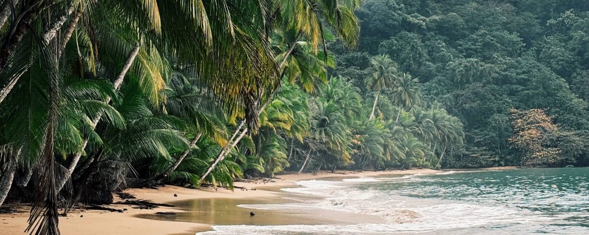 
                Comme un secret chuchoté
                De São Tomé à Príncipe en refuges choisis
            
