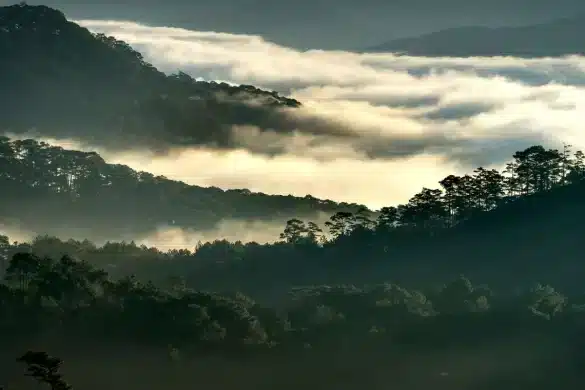 Vallée andine enveloppée de brume avec forêt tropicale et bâtiment colonial blanc en arrière-plan