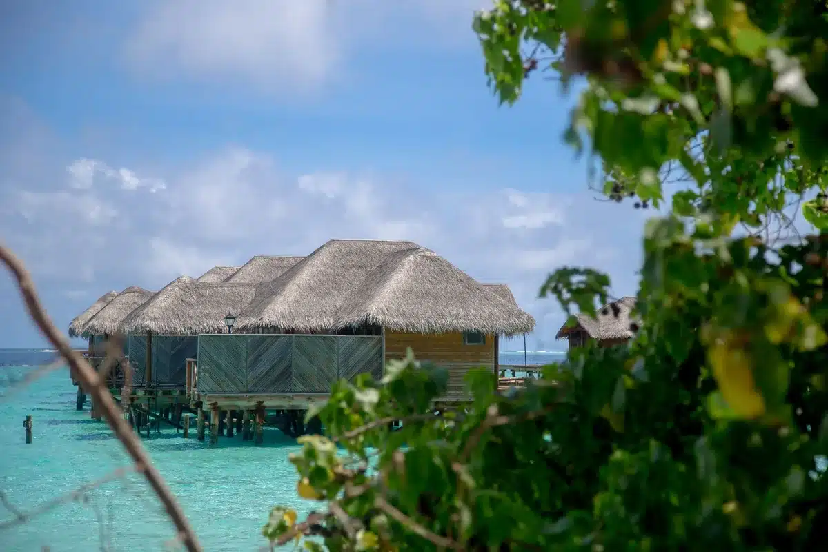 Cottages de luxe nichés dans la végétation avec vue panoramique sur une plage de sable fin