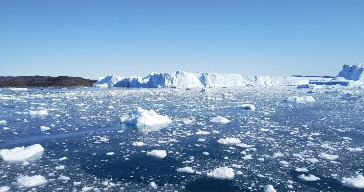 Icebergs flottant dans un fjord arctique sous la lumière du jour permanent de l'été