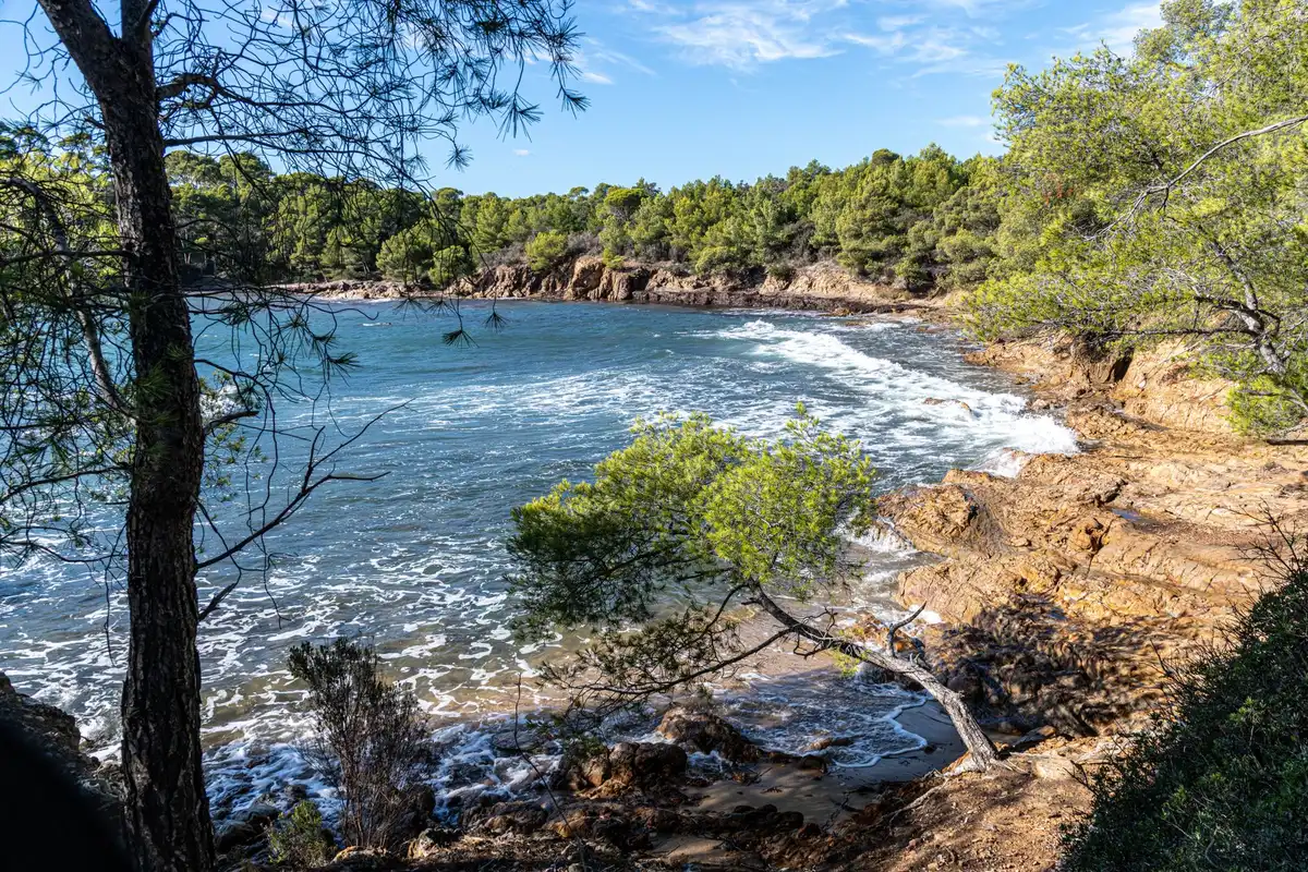 Plage rocheuse méditerranéenne avec pins parasols et eaux cristallines