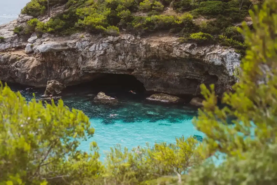 Crique méditerranéenne isolée avec eaux turquoise, rochers et pins parasols