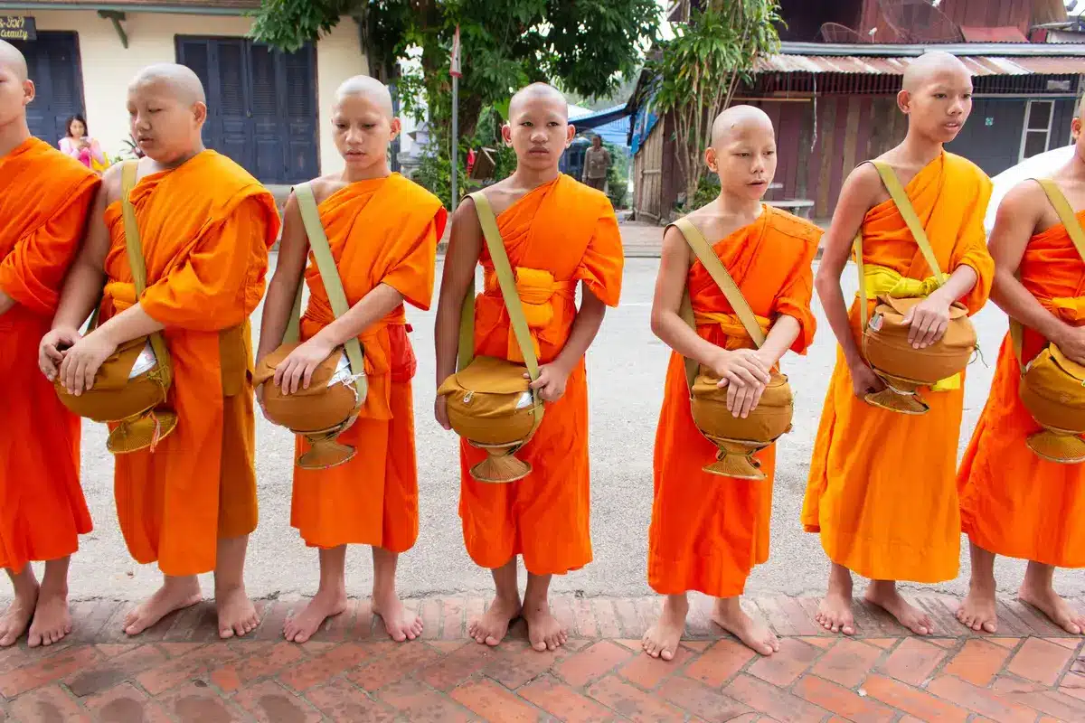 Moines en robes safran lors de la cérémonie du Tak Bat à Luang Prabang
