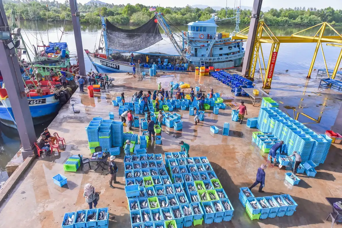 Port de pêche avec bateaux traditionnels et caisses de poissons frais du matin