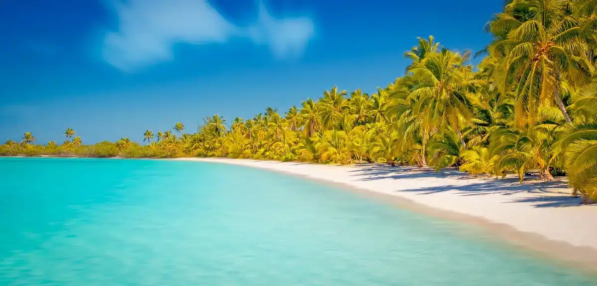 Plage de sable blanc et eaux turquoise de Zanzibar