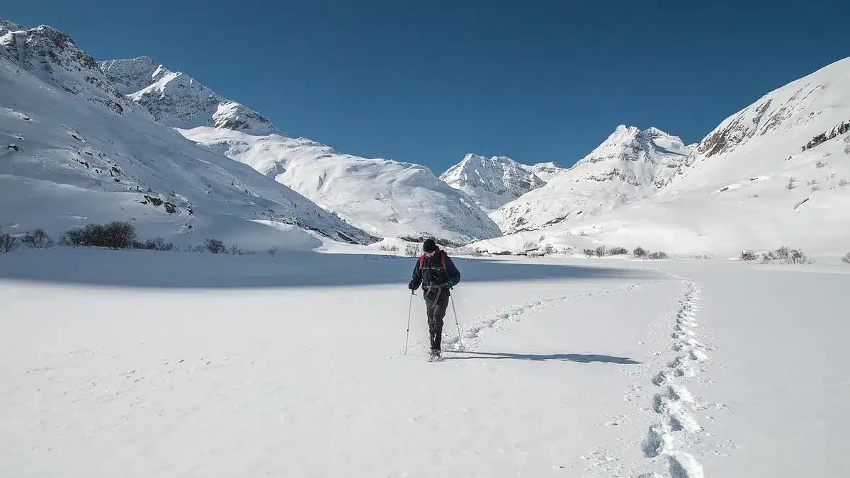 Randonneurs encadrés par un guide traversant une épaisse forêt pour une sortie primates