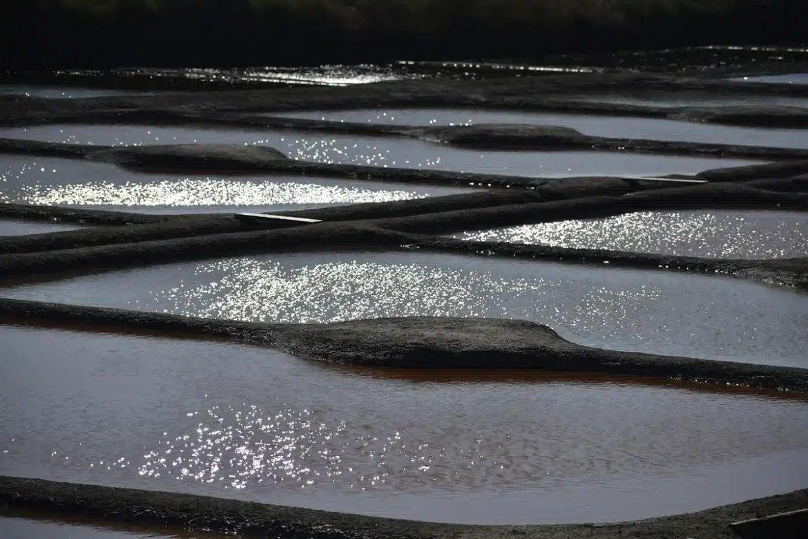 Venelle pavée et maisons blanches face aux marais salants au crépuscule