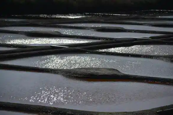 Venelle pavée et maisons blanches face aux marais salants au crépuscule