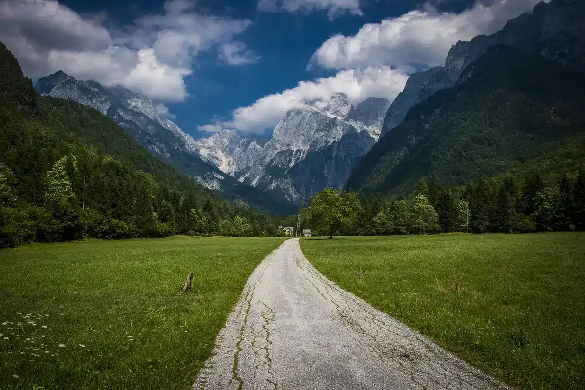 Sentier de randonnée en forêt avec vue sur les massifs alpins