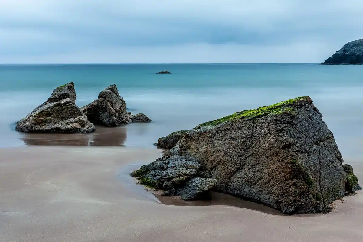 Plage normande découverte par la marée basse avec coquillages et algues