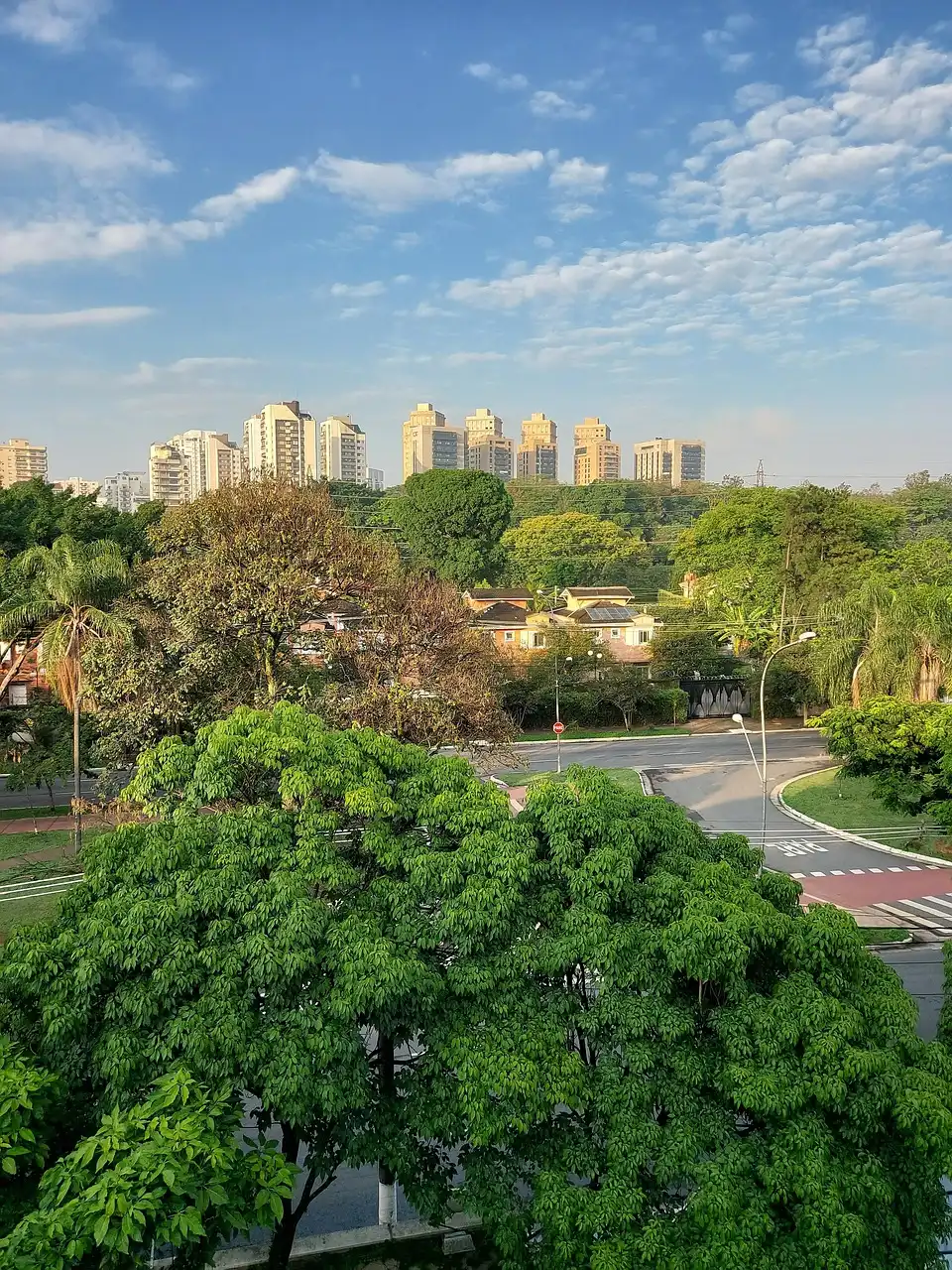 Parc urbain avec skyline en arrière-plan et arbres accessibles