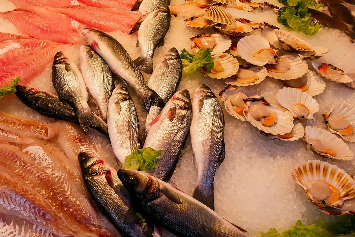 Étalage de huîtres et produits de la mer frais au marché aux poissons du port