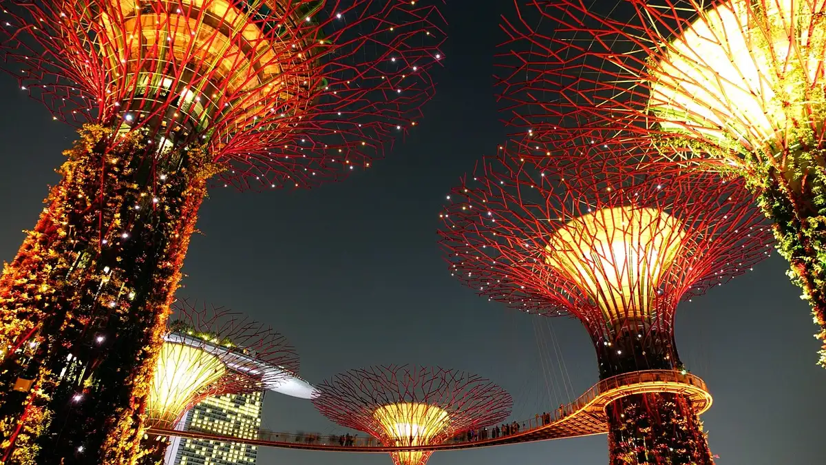 Vue des Supertrees illuminés aux Gardens by the Bay avec architecture futuriste de Singapour