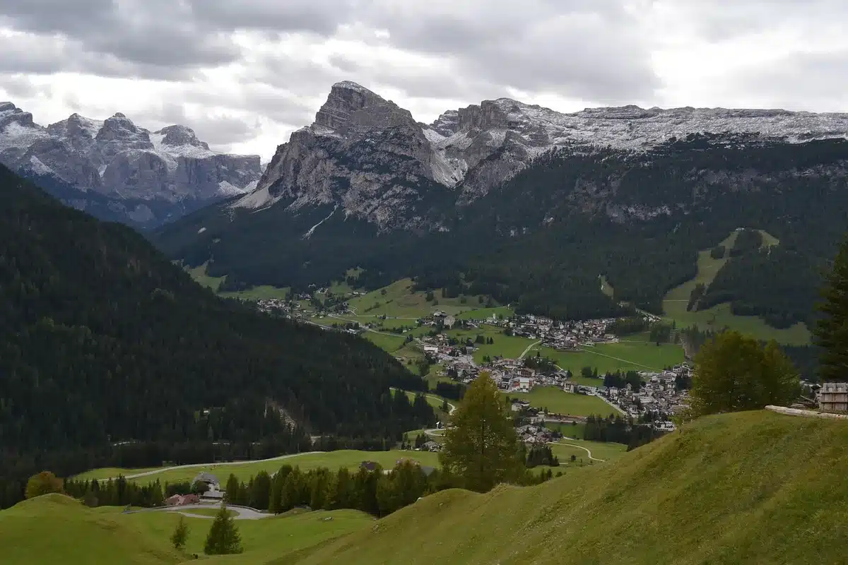 Piste cyclable forestière avec vélos sur un sentier ensoleillé