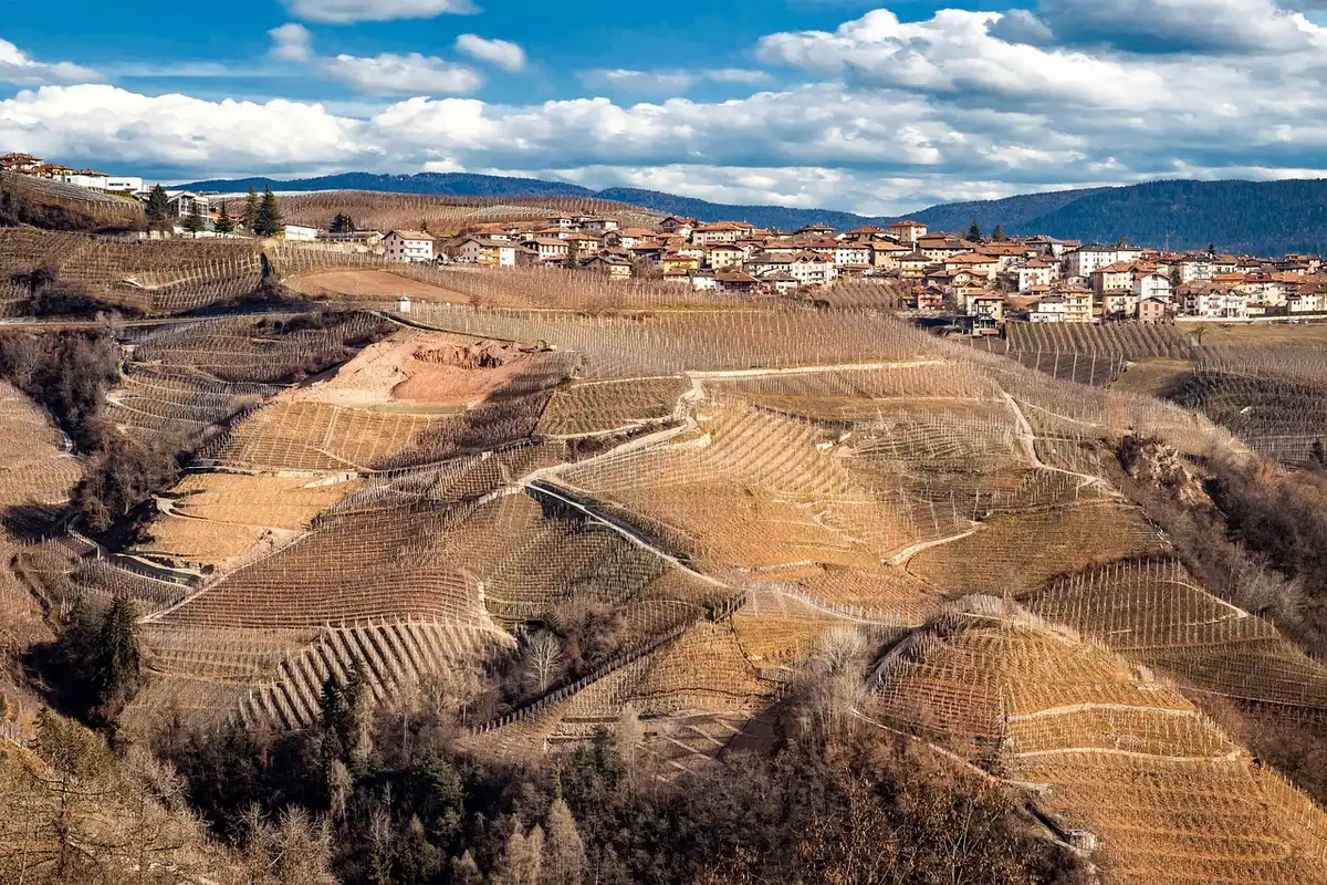Coteaux enneigés et vignes dormant autour d'un village champenois