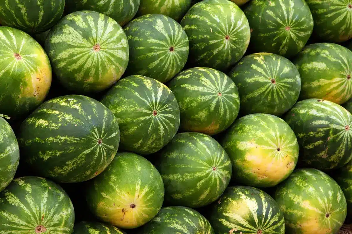 Marché de village sur la place avec étals de produits locaux et visiteurs