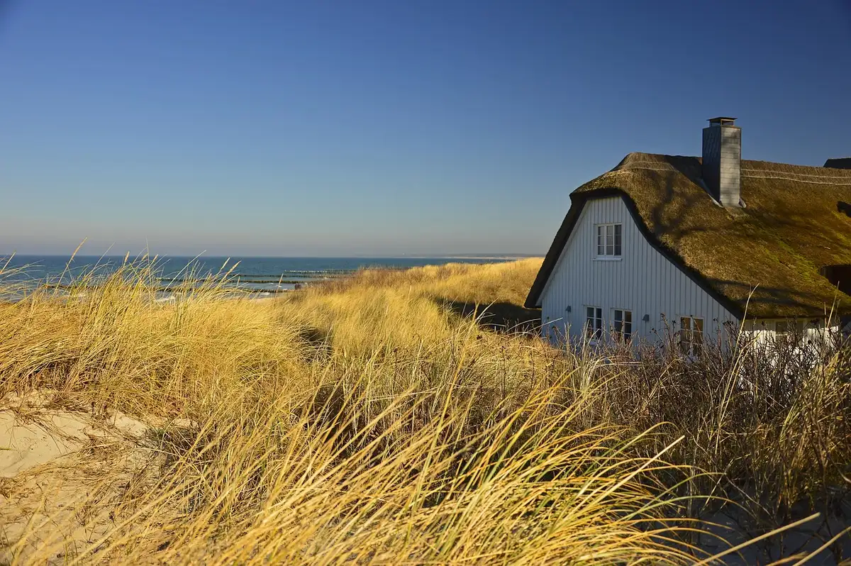 Dunes et végétation côtière le long des plages de sable de Capbreton