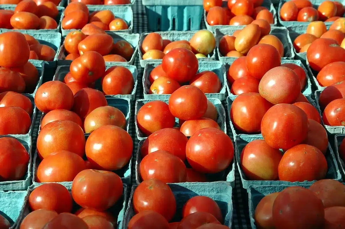 Étals de marché avec légumes, fromages et produits du terroir